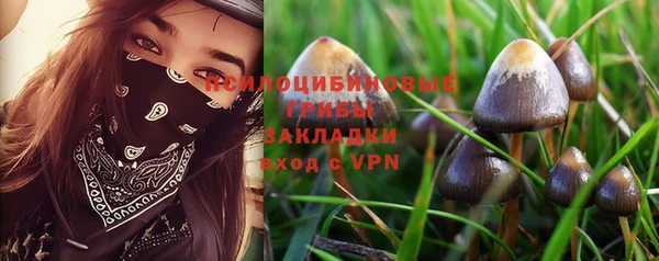 крисы Алзамай