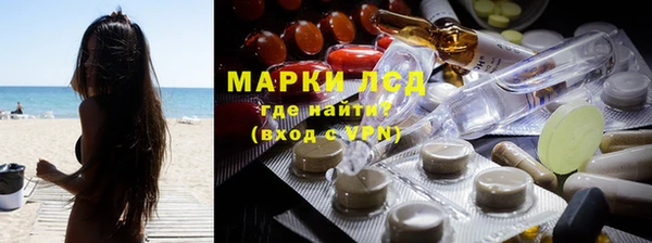 крисы Алзамай