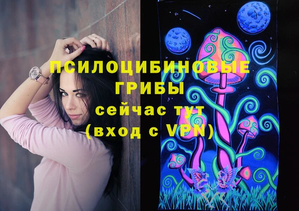 соль ск Алексин