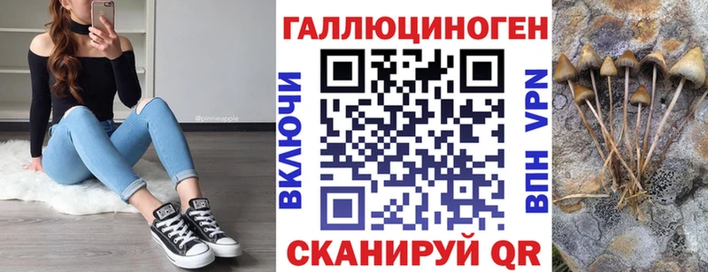 Псилоцибиновые грибы Cubensis  Ишим 
