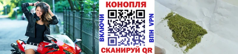 Канабис гибрид  сколько стоит  Ишим 